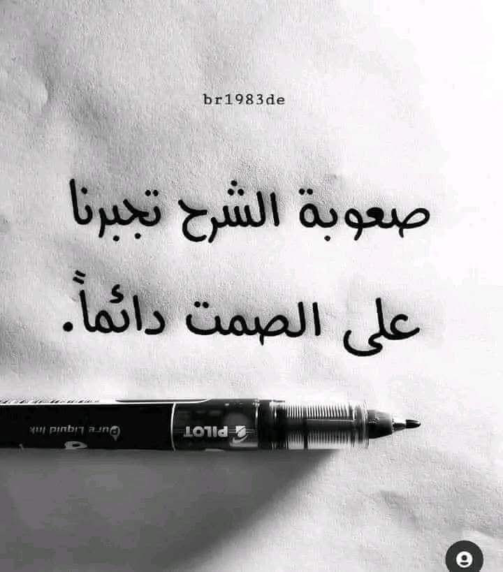 Magdi Elhamdi