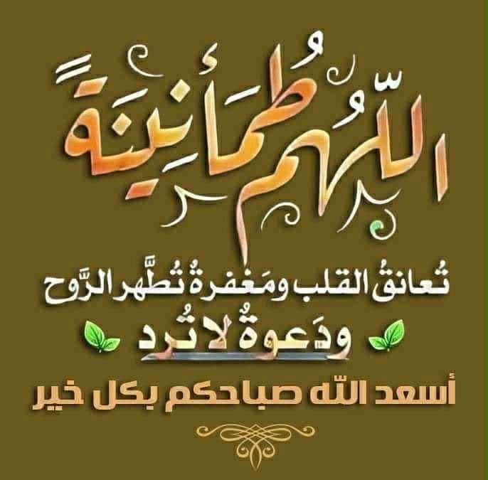 ���� ��������_SkAI5