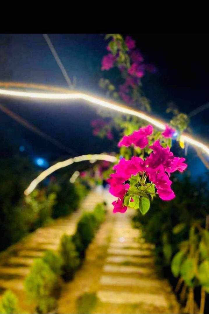 SALAH TRHONE_iHtRu