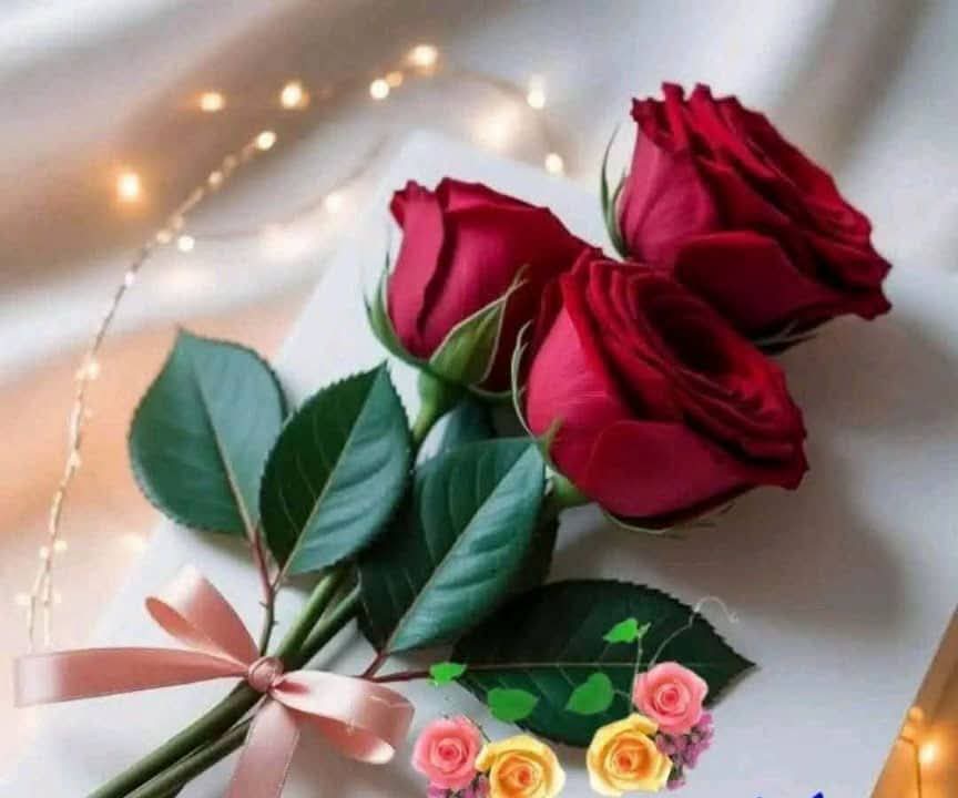 ���� ���� ����_dvLVF